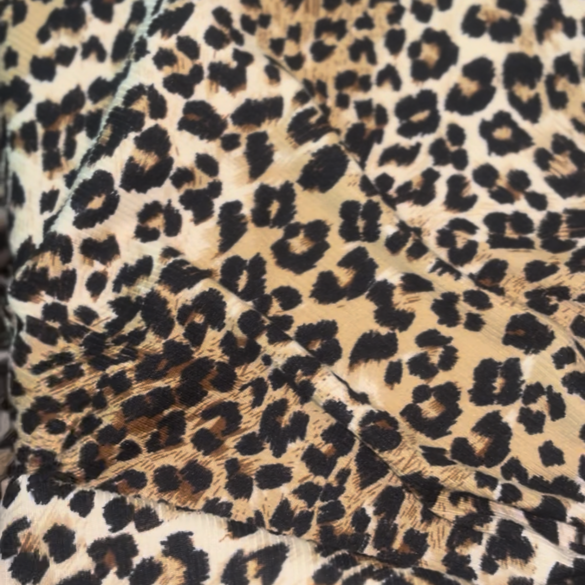 Leopardo